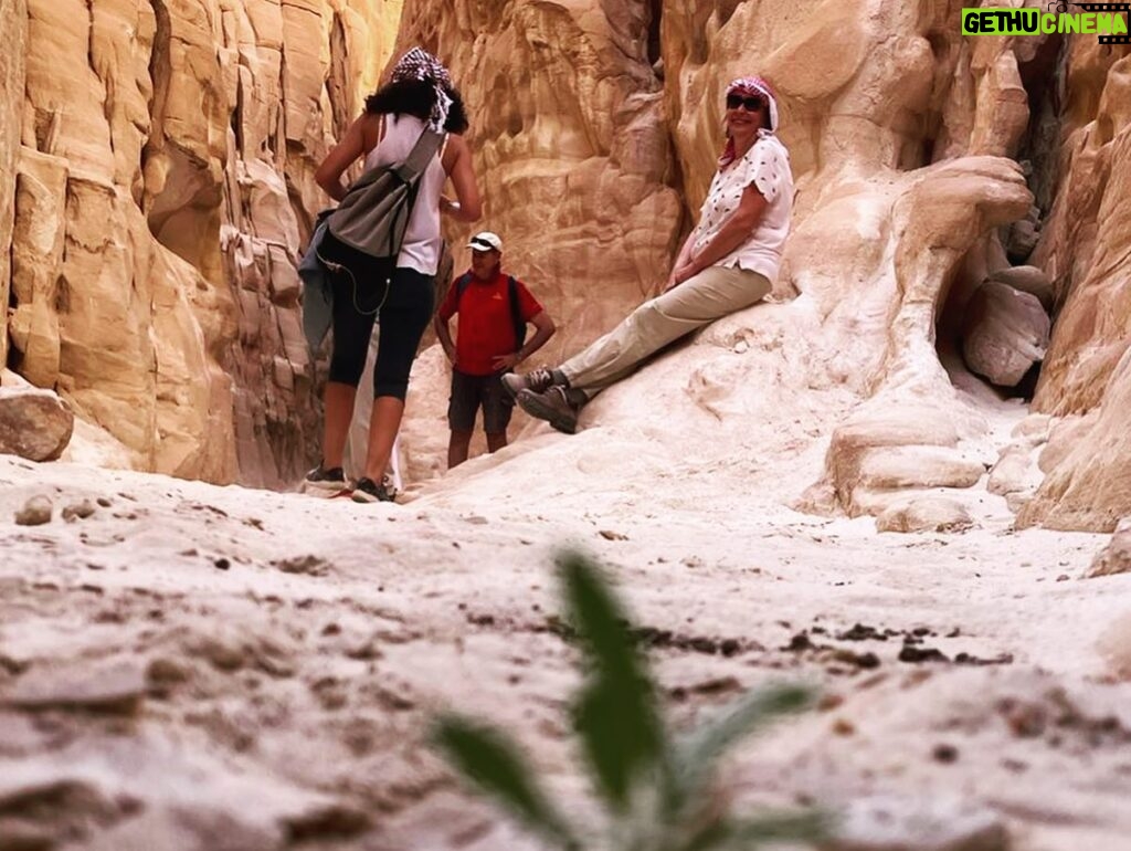 Nada Moussa Instagram - بلدي الحلوه ❤️🇪🇬 #egypt #summer #loveyourself #freedom #desert #fun #friends #newfriends #crazy #discover #happiness #curlyhair