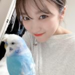 Nako Yabuki Instagram - 最近の☀️
