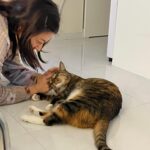 Nam Ji-hyun Instagram - 세상에서 제일 소중한 땅꼬랑이랑🐯🐱