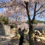 Nam Ji-hyun Instagram – 벚꽃구경은 촬영장에서🌸🌸