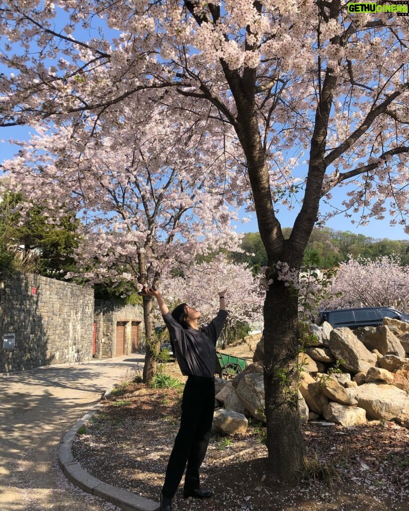 Nam Ji-hyun Instagram - 벚꽃구경은 촬영장에서🌸🌸