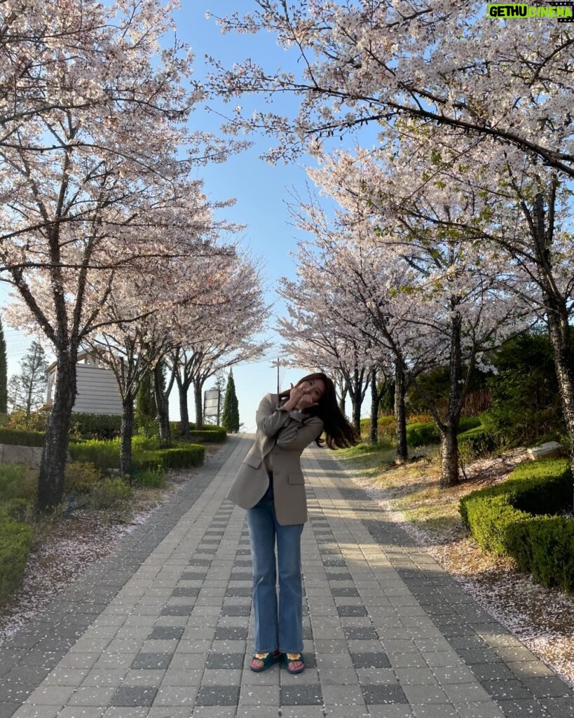 Nam Ji-hyun Instagram - 벚꽃구경은 촬영장에서🌸🌸