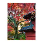 Nanao Instagram - #豪徳寺 #紅葉 🍁🍠❤️