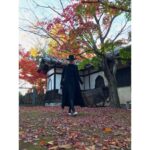 Nanao Instagram - #豪徳寺 #紅葉 🍁🍠❤️