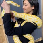Nanao Instagram - こんにちは #蛇女 こと ＃牧野巴です🐍💛 今夜22:00〜 #インハンド 第３話 放送です💖 @inhand_tbs