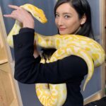 Nanao Instagram - こんにちは #蛇女 こと ＃牧野巴です🐍💛 今夜22:00〜 #インハンド 第３話 放送です💖 @inhand_tbs