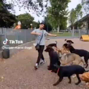Nancy Dupláa Instagram - Acá la Juventud Perronista bancando los trapos 

Te quiero Señor Paseador @super_mario_dogs ❤️