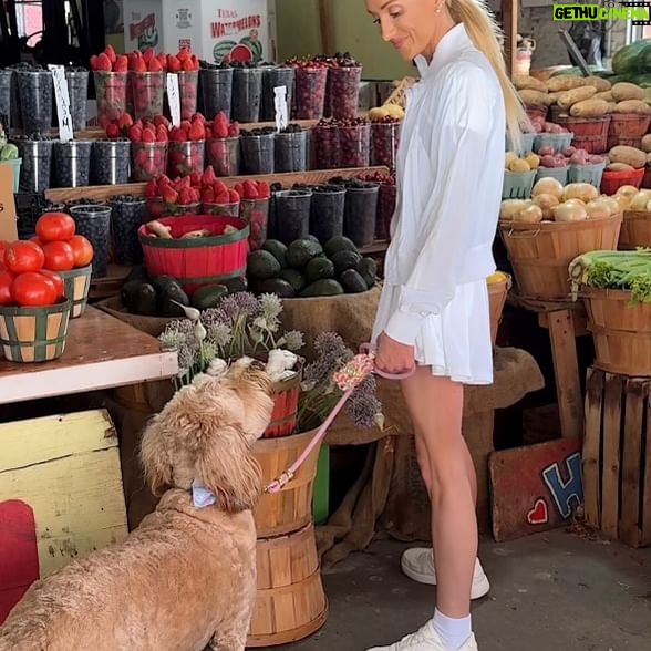 Nastia Liukin Instagram - Farmers market buddy for life 🩵 Harley’s wellbeing is so important to me, and just as I fuel my own body with key supplements and nutrients, I do the same for him. #ad Harley’s regimen includes @proplanveterinarysupplements new Canine Multi-Care supplement, which has omega-3 fatty acids, vitamin E, zinc, and biotin to support skin, immune, and digestive health. It supports his unique needs and helps him thrive! Talk to your vet or check out the PPVS website to learn more! #PPVSPartner