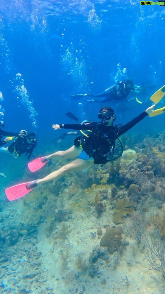 Natalia Reyes Instagram - 🧜‍♀️ Bucear, irse a las profundidades del mar y enfrentarse a la vez con la nuestra vulnerabilidad y resistencia a perder el control.. Providencia es un paraíso sobre y bajo el mar, un lugar que tenemos que visitar con responsabilidad y un tesoro a proteger.. 🌊 ALUCINANTE 🤿 @beclaworld! No se pierdan a su majestad el tiburón al final 🦈 Pd. Gracias infinitas a quienes nos enseñaron, cuidaron y literal llevaron de la mano @sirius_dive #Jim Videos de @byfieldtravel @josesotoval @claudiabahamon les sirenes verdederes 🫶🏼 • 🧜‍♀️ Diving, going to the depths of the sea and face our vulnerability at the same time.. Providence Island is a paradise above and under the sea, a place that we have to visit responsibly and a treasure to protect.. 🌊 AMAZING 🤿 @beclaworld! Don’t miss our majesty the shark at the end 🦈 #becláconexiónocéanos #ProvidenceIsland #Diving #NataliaFromColombia #Shark #Underwater #Coralreef #Providencia #ProtectOurOceans