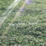 Natalie Pérez Instagram - “Yo te cielo MARIPOSA AZUL 🦋 “ • Jueves 6 a las 20:00 hs en tu plataforma favorita 🥰