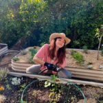 Natasha Liu Bordizzo Instagram - Swipe for our backyard now :’) 🤎 I’ve always loved ‘nature’ but was one of those who preferred ‘untouched’ or ‘wild’ landscapes through hiking & camping. I totally underestimated the potential of a little garden. Gardens seemed like overly domesticated versions of nature that were for ‘older people’. I’ve realised now that ‘wild’ nature of course is magic, but growing your own food, even a little bit, has a totally different value. It’s a direct relationship with the cycle of life and the seasons, it’s re-connecting with old knowledge and it’s just being off your damn phone a tad more. In the garden there’s always something changing, even within the same day. The more you look, the more you see. Since we’ve replaced grass with vegetable beds & native plants (not pictured as they’re in the front yard) the whole area has come to life with so many little visitors. I literally wake up excited to go outside and see what’s happening. It’s quite sad how disconnected we’ve become, culturally and collectively, from nature and the food system. As a beginner gardener, I’m only scratching the surface of how connected to the earth we once were. And considering the worsening mental health crises, I do think our bodies remember. Robin Wall Kimmerer said that in some Native languages the term for plants translates to “those who take care of us.” Let them take care of you. 🌱 Whether you have a garden, or even just a sunlit windowsill; the internet has most of the ‘how’ and you can get a start pretty cheaply. Happy growing! Xxx