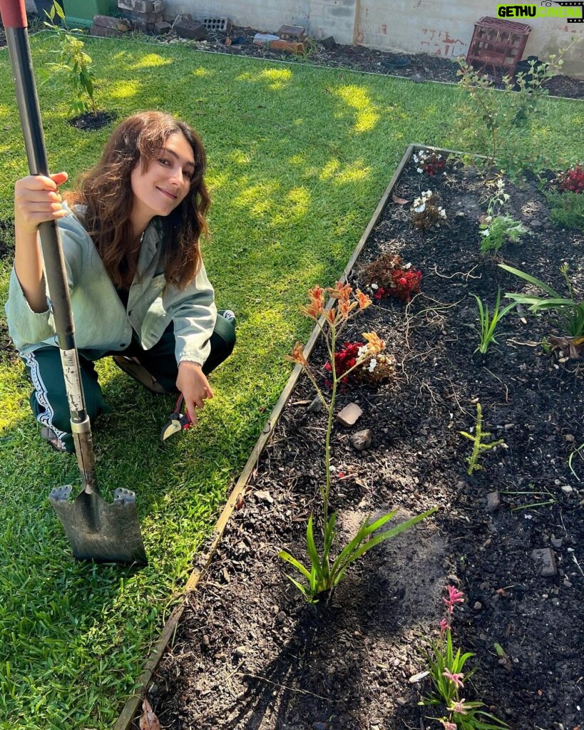 Natasha Liu Bordizzo Instagram - Hello! A few months ago I read some stunning material on re-thinking how our gardens are used, and haven’t been able to stop thinking about it since 🥹🌱 As we know, we’ve lost a horrendous amount of forest, wetland & other natural habitat. There’s already an awesome movement towards changing the idea that ‘nature’ is something set aside in parks or preserves. Instead, it should be part of our daily lives. If our gardens could be less of the traditional biological wasteland that is a ‘lawn’ and include more native plants, we could support insects, birds and other wildlife clinging onto their fragmented homes. There are 130 million parcels of residential land in the US alone that could be being used as a connected habitat to help restore lost biomes. On my recent trip home to Australia I found the amazing✨ @indigigrow ✨, 100% Aboriginal owned and not-for-profit, native plant nursery. If you’re in Sydney, go check them out!! I visited and got a bunch of beautiful Australian natives to start replacing some of the random ornamental plants we had in our backyard. I get excited finding something that is affordable and joyful that can help this messed up, over-developed planet so if one person seeing this does the same… I’ll be stoked 🤙💕💕