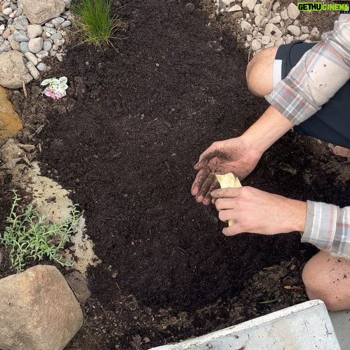 Natasha Liu Bordizzo Instagram - Start of Spring things 🌱 1. Starting an exciting project in the backyard. Clue: it involves a lot of fruit. 2. The babies! 3. The Huntington in March 🤍 4. Replacing grass with a Californian wildflower mix. 5. The same patch, a few days later 🥹 6. 🌸 7. Our DIY rock pool… I’m obsessed. Built via YouTube tutorial! We found a lot of the rocks on the street :’) 8. An artist and his art….