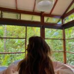 Natasha Liu Bordizzo Instagram - Swam with an eel in a freeeeeezing creek, Saw a golden orb spider the size of a plate, Met a brush turkey who tried to steal our breakfast, Met a few forest spirits, Ate mangoes in the bath, Woke up to laughing kookaburras, Remembered my reasons, Happy holidays from home 💚💚