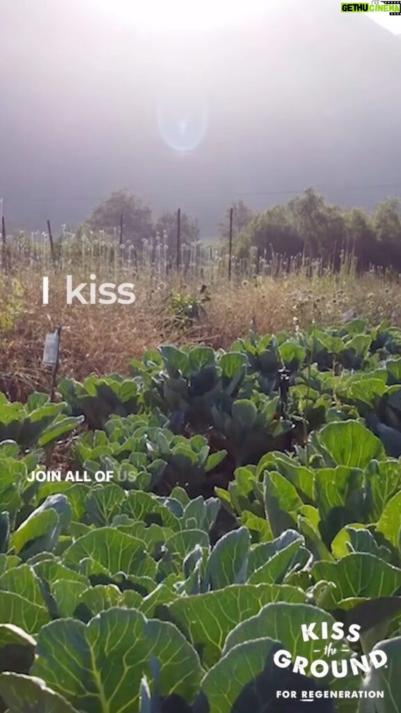 Nathalie Kelley Instagram - On this Valentines Day I want to invite you send love and gratitude to our SOIL ❤️ - the source of our food, nourishment and life itself. This video is in honor of the work of @kisstheground and all those working to rebuild and regenerate our soil. There are hundreds of ways to Kiss the Ground, through the link in my bio you can donate or find other ways to support. $10 helps transition 1 acre of land to regenerative land management practices. Thank you for inviting me to be a part of this gorgeous homage to this incredible and noble work @evanharrisonsurfs 🙏🏽🌱