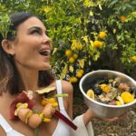 Nathalie Kelley Instagram - Hello! Compost Queen here… Darlings I’m so thrilled you loved my little reel on the wonders of Making Soil! Once you start you can never go back to throwing your organic matter in the trash! Here are are some wonderful resources by @swaythefuture and @shanleygrace to help get your compost recipe just right… and lastly, if you want to go the EXTRA mile for Mother Earth this year, consider BECOMING a Soil Site on @makesoil. YOU get to choose how many neighbors you accept food scraps from, what exactly you accept and when. This is how we go about getting millions (hopefully billions) of people engaging in their first act of regeneration! It’s that simple, yet that profound. @joshwhiton, founder of @makesoil likes to say it’s the “gateway” regenerative experience that leads to all other kinds of wonderful things like growing your own food or learning agroforestry as I intend to do this year… and it all started with a simple compost bin 😘🌱 Here’s to Making Soil together in 2023 🌎 Slide 1: Compost Queen Nat in an home-made DIY necklace constructed out of her own food scraps with a bowl of organic matter Slide 2: An instructional guide of the nitrogen/carbon/potassium/phosphorus content of common compostable items by @swaythefuture Slide 3: Nat about to taste @terramasiaibiza delicious biodynamic soil after reviewing their compost. Wearing her friends sustainable and ethically made line @laasso slide 4: the @makesoil team in Ibiza visiting @terramasiaibiza . Founder @joshwhiton front and center. @vanessaponcedeleon @steviemariew (not shown) @tansykaschak @andresalonso7 Slide 5: A screenshot of the @makesoil app showing existing soil sites across California and Oregon Slide 6: More composting resources by @swaythefuture