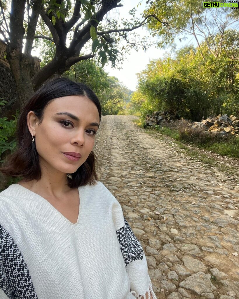 Nathalie Kelley Instagram - The Future is a Forest… 🌳 I’m convinced that Agroforestry is one of the most promising solutions we have in the face of hunger, climate change, drought etc… thank you @daniel_meneses88 @agroforestando @vickydiaz1350 of @solar_centroagroecologico for the most inspiring tour of the food forest that you planted just 18 months ago! This is what happens when you combine syntropic farming with the ancient Milpa forest food system of the Mesoamericans. @daniel_meneses88 tells me there are 68 registered different versions of the Milpa forest garden. This is a food system still in use after 8000 years! Most of our modern food systems don’t last 400 years.. Replicating this system across central and South America would mean a return to our original roles as stewards of forests, not destroyers of them. The forest provides us with everything we need: food, shelter, clothing, spirituality… im looking forward to coming back and planting with my own hands and seeding hope for our future. 🌳🌎💪🏽