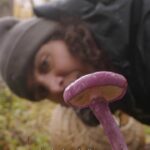 Nathalie Kelley Instagram - Just this last month the National Geographic Society (@insidenatgeo) made the move to include FUNGI in its definition of WILDLIFE, placing them alongside plants and animals. This isn’t just wordplay; it literally means that mycology has been declared an area of interest, unlocking crucial funding for fungal research and projects looking to investigate and protect fungi from all over the world. Alongside this significant step triggered by our partners at the @fungifoundation, the National Geographic Society’s Impact Story Lab has launched the short film ‘Flora Fauna Funga’ (available on their YouTube channel and via the link in my bio) The short documentary was filmed during an expedition to Tierra del Fuego in Chile, where @giulifungi @fungifoundation, @merlin.sheldrake, and @spununderground spent 10 days collecting samples of fungi and soil to research how the funga of the southernmost tip of the American continent live and adapt. Foundress of the @fungifoundation @giulifungi is doing amazing things for KINdom of Fungi, finding new species, fighting to make sure mycologically inclusive language is included in conservation frameworks. You will be hearing more about this work in next month but in meantime please check out the longer version of this film via the link in my bio. 🍄🍄🍄🍄🍄🍄