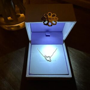 Nazanin Boniadi Instagram - Jewelry in support of human rights in Iran? And Iranian female-founded? Yes please! In honor of Norooz you can use code ABC20 to shop for this gold and diamond Iran necklace or any item on the @noush_jewelry website and they will donate 20% of all sales to @IranRights as well as a 10% discount for shoppers, from today until Sizdah Bedar on April 1, 2024. The perfect gift that gives back. Visit noushjewelry.com

For this specific necklace search for ‘Iran map necklace’ on the website and in the customize box you can write any specifications.

**Note: this is not a paid ad, it is a charitable campaign. There is no business affiliation between Nazanin Boniadi and Noush Jewelry.