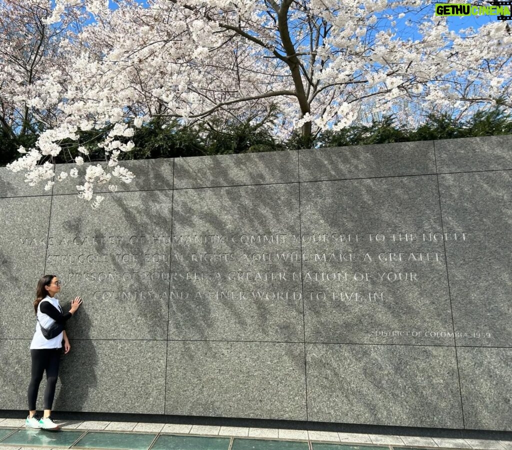 Nazanin Boniadi Instagram - “Make a career of humanity. Commit yourself to the noble struggle for equal rights. You will make a better person of yourself, a greater nation of your country, and a finer world to live in.” MLK Jr. May freedom, equality, justice and peace prevail.