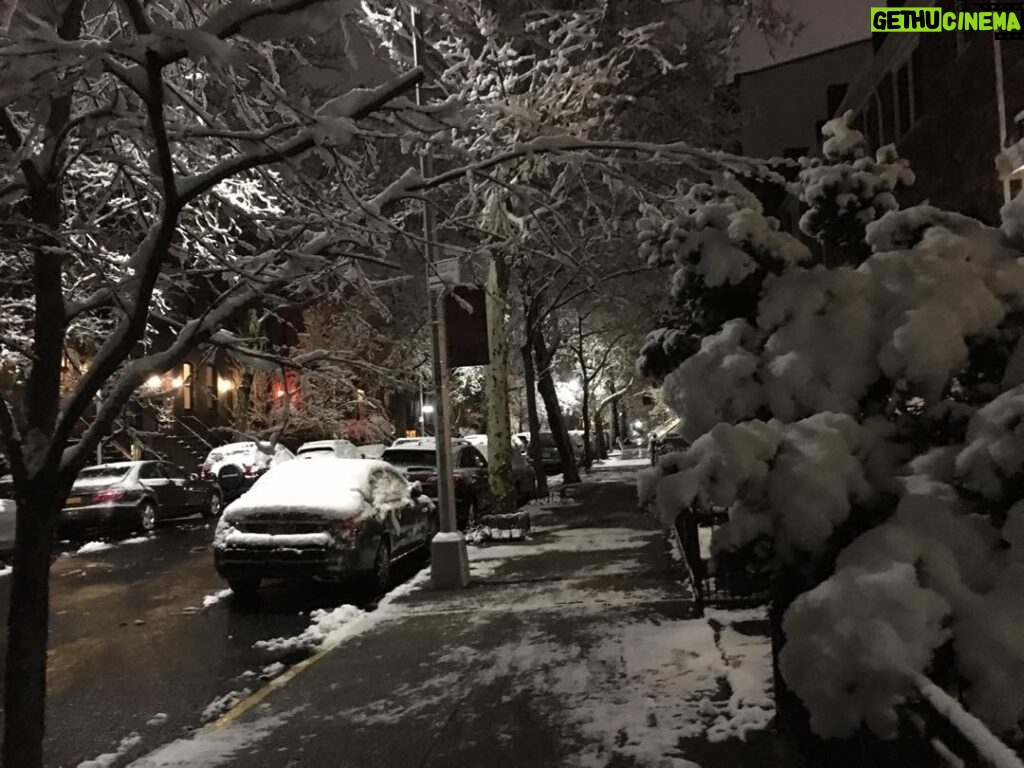 Neve Campbell Instagram - Late night walk in snowy Brooklyn. Heaven.