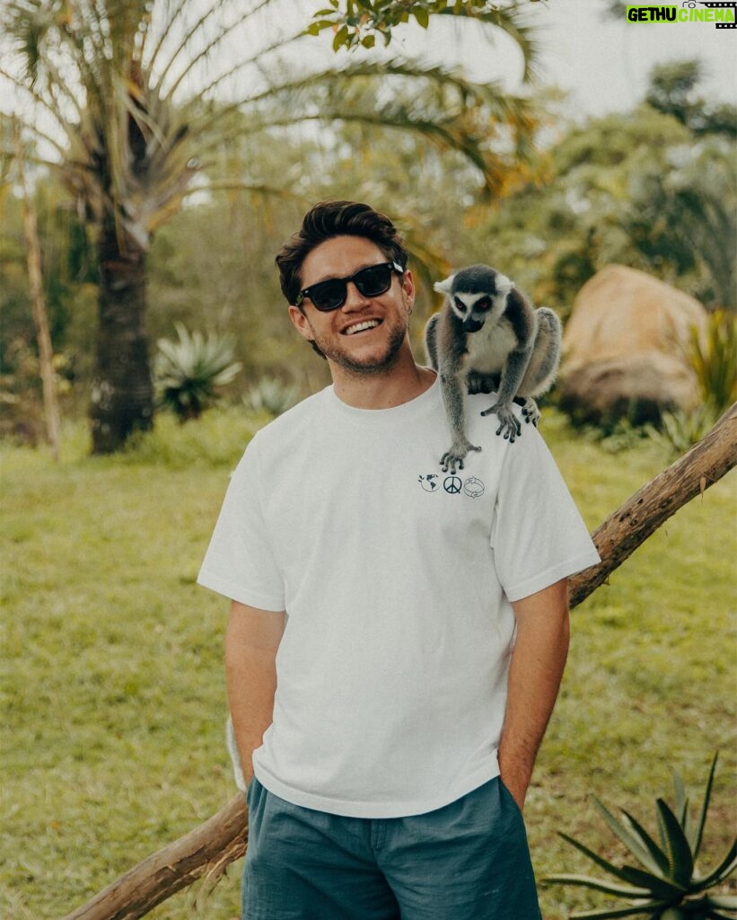Niall Horan Instagram - Australia Zoo and Night Twenty-Six Brisbane