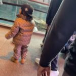 Nicki Minaj Instagram - Thank you to the amazing employees at the Aquarium in Chicago today. 🩷💛💜🩵🤍 #PapaBear had a great time 😉🌊🐳🌊🐬