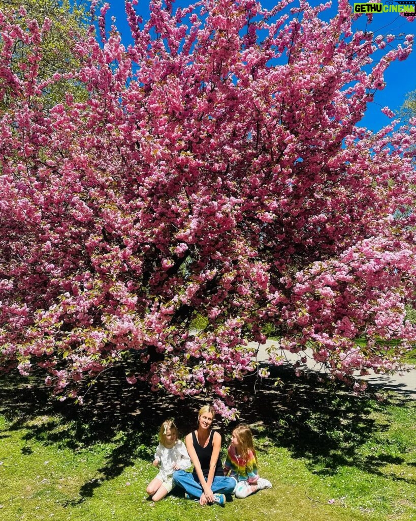Nicky Hilton Instagram - Peak bloom perfection: 🍒🌸 in full glory.