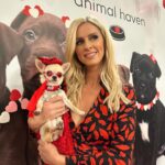 Nicky Hilton Instagram - That’s a wrap NYFW! 🌪️