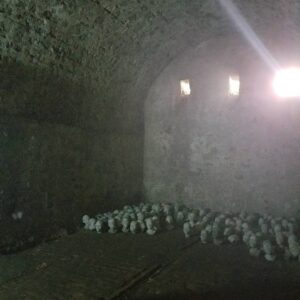 Nicole Ari Parker Instagram - Today my heart pounded as I stood in front of one of the two small windows...the only shaft of light..the only brief gust of wind inside the small female dungeon at #CapeCoastCastle. The spot that hundreds of shackled women surrounded by their dying sisters and children were forced in desperation to fight for... beg for..die for. 
A brief moment in the sun. 
A long visit to #CapeCoastCastle and #ElminaCastle was what I needed Sophie and Nicolas to experience. To see. To listen. To understand.
They are two of the last remaining sites along the GoldCoast that bear witness to over 300 years of the brutality and horrors of the slave trade. 
We saw the powerful Nkyinkyim  installation by artist Kwame Akoto-Bamfo depicting in terracotta the faces of people enslaved here.
We walked thru the Door of No Return, following the path our ancestors took as they boarded ships.
Then our guide #MrBlankson turned us around and we went back thru the same door...symbolizing our return.
 When we arrived at #ElminaCastle and Sophie saw the tiny door she had only read about..We stood in silence and then we prayed. 🇬🇭 Namanom yɛ hyɛ him ɛnyimnyam, yɛ da hom ase dɛ homdze bin aba fie.🇬🇭
Ancestors we honor you. We thank you for bringing us home.
