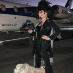 Nicollette Sheridan Instagram – The Lion🦁, The Witch🧙🏻‍♀️ and The Jet🛩! Oliver loves Halloween costumes🖤! Who needs a broomstick?? 🚫🧹👎 Happy Halloween! @wheelsup8760 #wheelsup #happyhalloween #olivertravels