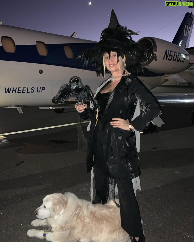 Nicollette Sheridan Instagram - The Lion🦁, The Witch🧙🏻‍♀️ and The Jet🛩! Oliver loves Halloween costumes🖤! Who needs a broomstick?? 🚫🧹👎 Happy Halloween! @wheelsup8760 #wheelsup #happyhalloween #olivertravels