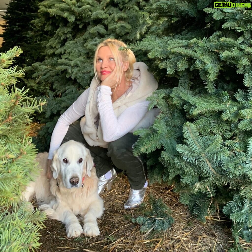 Nicollette Sheridan Instagram - Oliver found his tree and wouldn’t budge...damn he has good taste! ❤️🐶❤️🌲❤️ #Christmas #love #sundayfunday