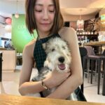 Nikki Hsieh Instagram - 🐾
