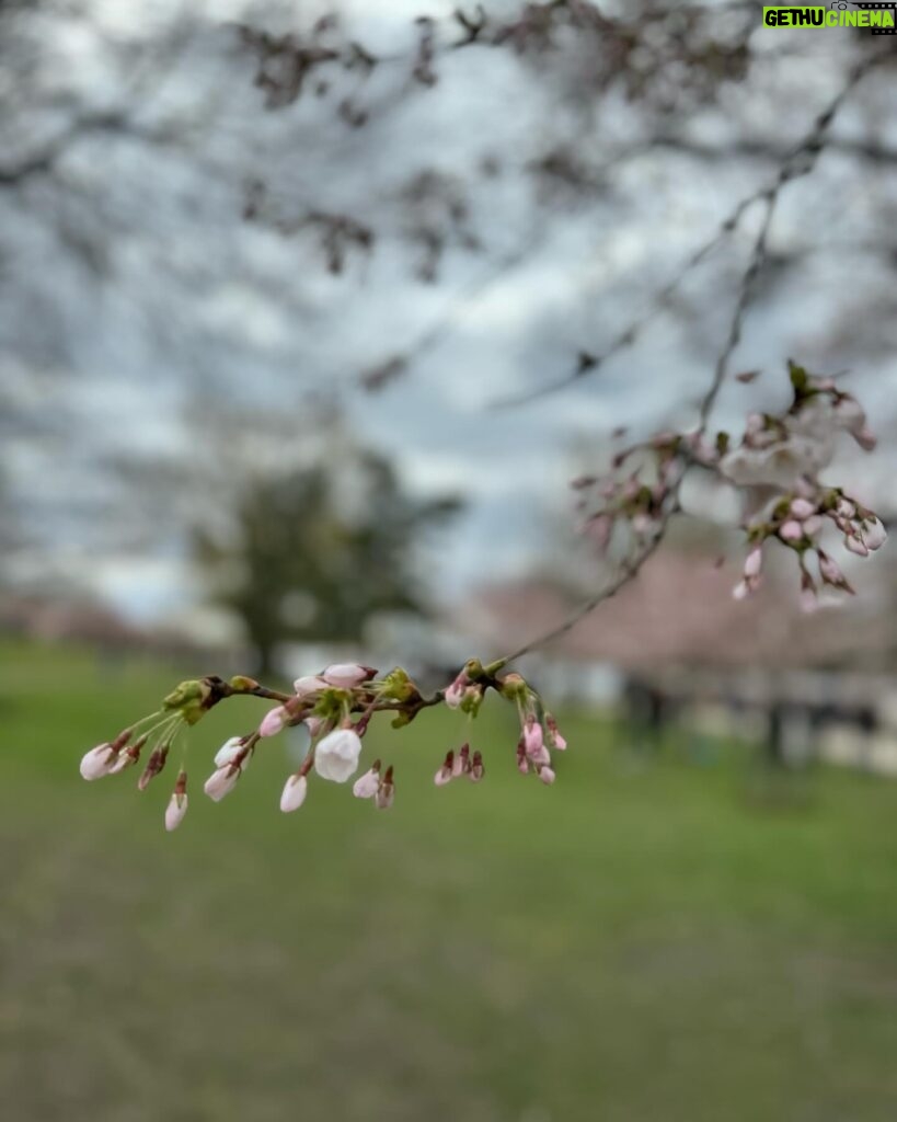 Nikki Roumel Instagram - 🌸🌸🌸