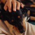 Nikol Štíbrová Instagram - UKONČENO:) Ať už slavíte Mikuláše jakkoli, studentská pečeť je vždycky dobrá volba:) A pro ty, co třeba nejsou úplně čokoládoví, tu mám ještě jinou nadílku - zasoutěžíme si o iPhone 14, ten může asi každý:) Pravidla hry: 1. Dej follow profilu @studentskapecet 2. Označ do komentáře kamaráda, kterému by výhra udělala radost ( můžeš dát i víc komentářů, označit více přátel ) Soutěž poběží od 4/12 do 11/12, pak si zalosujeme:) #StudentskaPecet #FaktKus� #spoluprace
