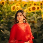 Nimrat Khaira Instagram - Mujhe maloom hae mera chehra tere dil ka sakoon hae …