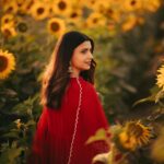 Nimrat Khaira Instagram - Mujhe maloom hae mera chehra tere dil ka sakoon hae …