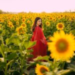 Nimrat Khaira Instagram - Mujhe maloom hae mera chehra tere dil ka sakoon hae …