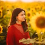 Nimrat Khaira Instagram - Just a girl who loves sunflower. 🌻🌻♥️♥️
