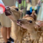 Nina Lu Instagram - oh deer… 🦌🥺