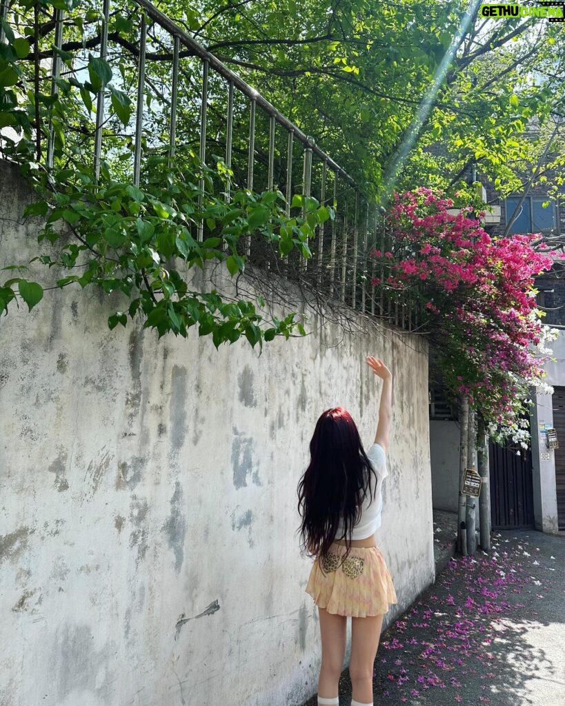 Ning Yi Zhuo Instagram - 봄이댱🌸