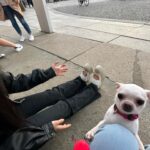 Ning Yi Zhuo Instagram - 자연사랑 투어리스트 닝🦛