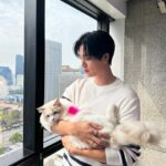 Norawit Titicharoenrak Instagram - Meowwwwwwww!!!!!