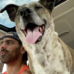 Nyle DiMarco Instagram - Haven’t posted in a long while... I miss you all :) PHOTO DUMP!