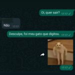 Nyvi Estephan Instagram - Sabia que hoje é dia do gato? 😍 dia de amassar minhas monstrinhas até elas ficarem com a mesma cara da Zelda na penúltima foto 🤣 elas estão comigo nos meus melhores e piores momentos, tão companheiras quanto meu Predator superpoderoso (que elas também amam ficar em cima do teclado kkkkkk) 🐈. Quem aí que tem gato, já enviou algumas msgs sem querer? Ou já botou a culpa no gato? 🤣 . @acerdobrasil #DiaDoGato #pubIi