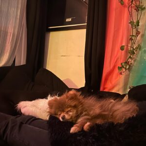 Odessa A'zion Instagram - santa told his favorite Jew (me) to tell you (you) to go listen to my song. alone!! out every where. this is still odessa by the way