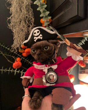 Odessa A'zion Instagram - first person to guess where I am gets a golden Star of David 😬😅🎃🦭🍬