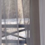 Oksana Fyodorova Instagram - После Барнаула мы отправились в Горно-Алтайск . Посмотреть красоты, зарядиться энергией , отдохнуть и впервые попробовать пантовые ванны . 🌲☀️ Нас дружелюбно и гостеприимно встретили сотрудники великолепной здравницы Марьиного острова @marin_ostrov.altay Я давно хотела там побывать , это действительно очень мощное энергетическое место , где ты наедине с собой, отдыхаешь и наполняешься. #алтай#природа#энергетика .