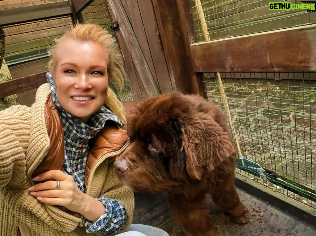 Olesya Sudzilovskaya Instagram - #колян #ньюфаундленд #newfoundland Мой любимый медведь!😀❤️🐻 #олесясудзиловская #актриса #olesyasudzilovskaya #actress